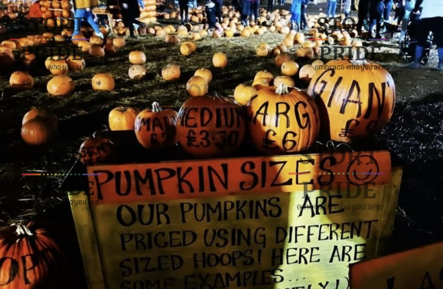 Halloween Adventures